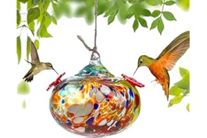 KRISININE Hand Blown Glass Hummingbird Feeders for Outdoors with 2 Feeding Ports Leak Proof Small Glass Humming Bird Feeder for Window Garden Patio Decoration