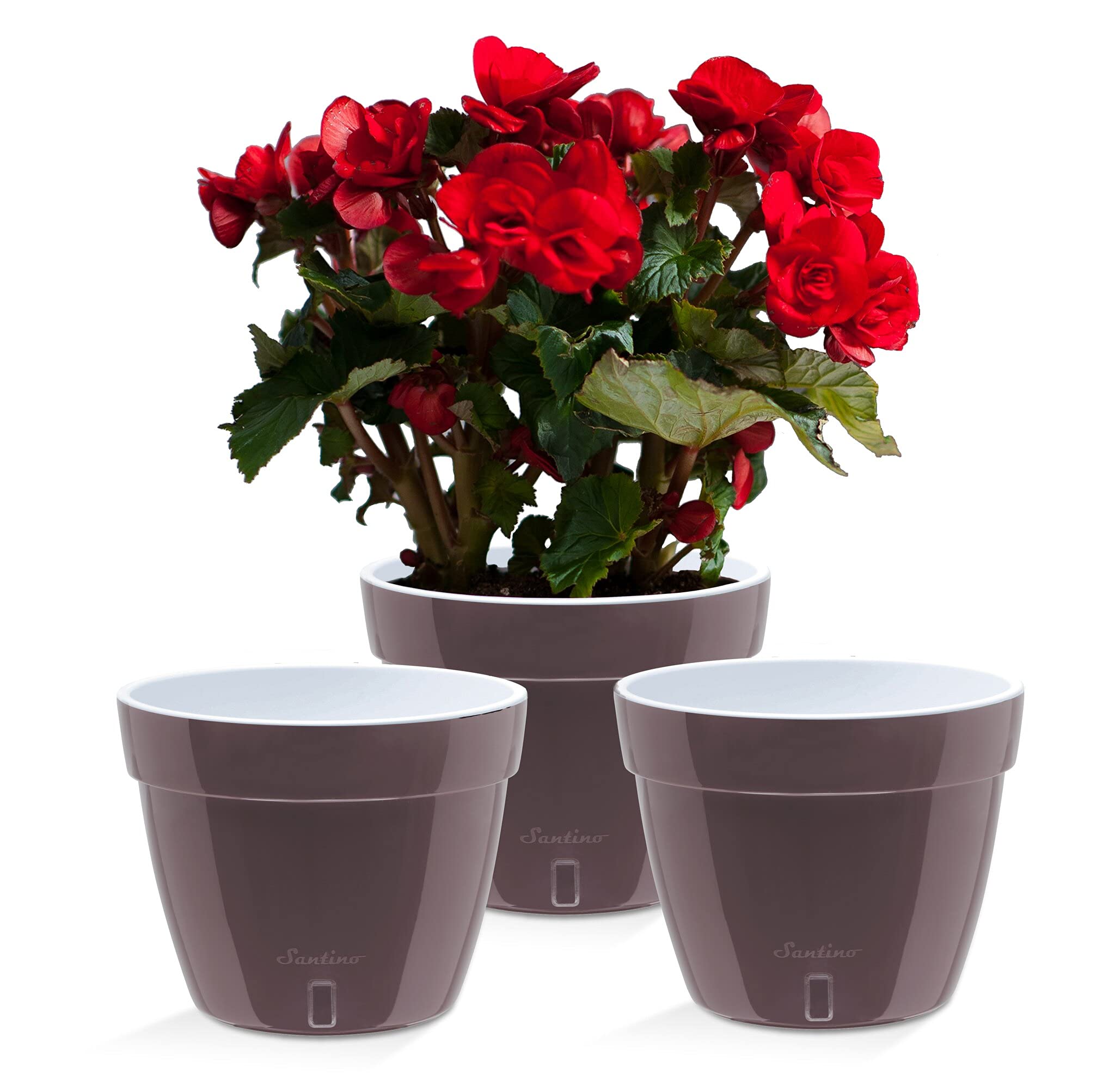 Santino ASTI 7.9 Inch Self Watering Planters (SET OF 3) for Indoor Plants - Modern Flower Pots w/Water Level Indicator for All Plants, African Violets and Dahlias - (Ø 7.9 Inch, 4 L, SHADE/WHITE — image 1