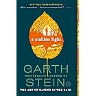 A Sudden Light: A Novel