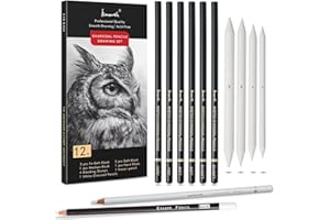 Brusarth Charcoal Drawing Set -12 pc Black charcoal pencils, White Charcoal Pencils, Eraser Pencils, Blending Stumps for Drawing, Sketching, Shading, Artist Pencils for Beginners & Artists