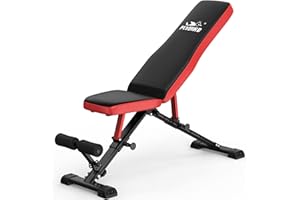 FLYBIRD Strength Training Bench for Home Gym, Adjustable Weight Bench can be Folded for Storage/Vertical Storage, Space-Saving Workout Bench
