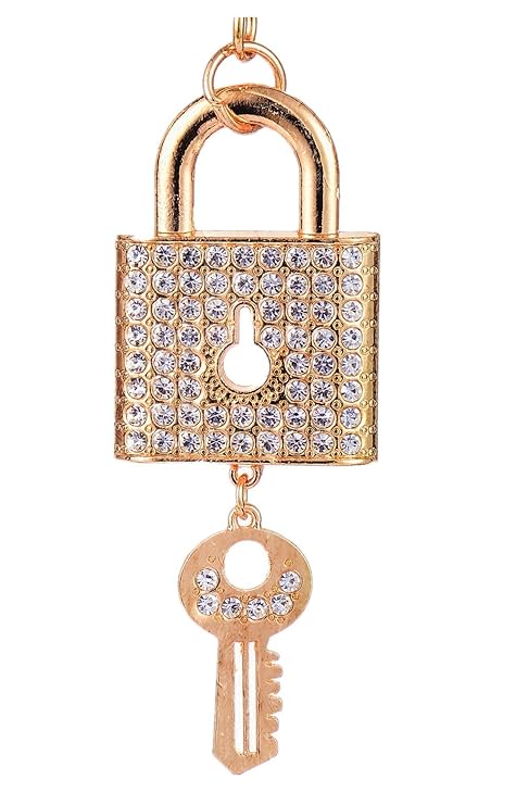 purse with lock and key