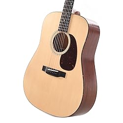 Eastman E1D Dreadnought Guitar with Gig Bag