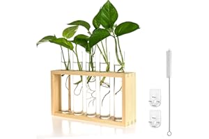 Plant Propagation Station,Ycoolle 5 Glass Test Tube Vase with Wooden Holder Wall Hanging Glass Plant Propagation Perfect for 