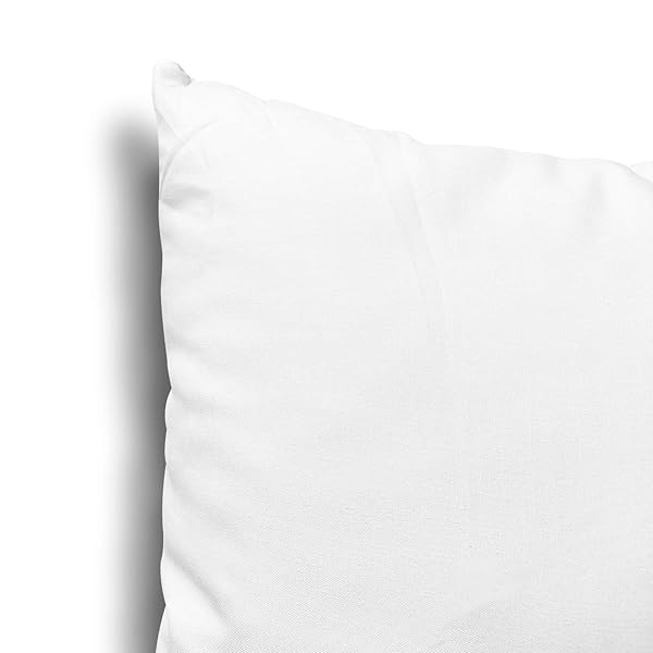 EDOW THROW PILLOW INSERTS, SET OF 4 LIGHTWEIGHT DOWN ALTERNATIVE POLYESTER PILLOW, COUCH CUSHION, SHAM STUFFER, MACHINE WASHABLE. (WHITE, 20X20)
