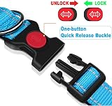 ATETEO Dog Collar Reflective Adjustable Neoprene Padding Nylon Strap M-L view 4