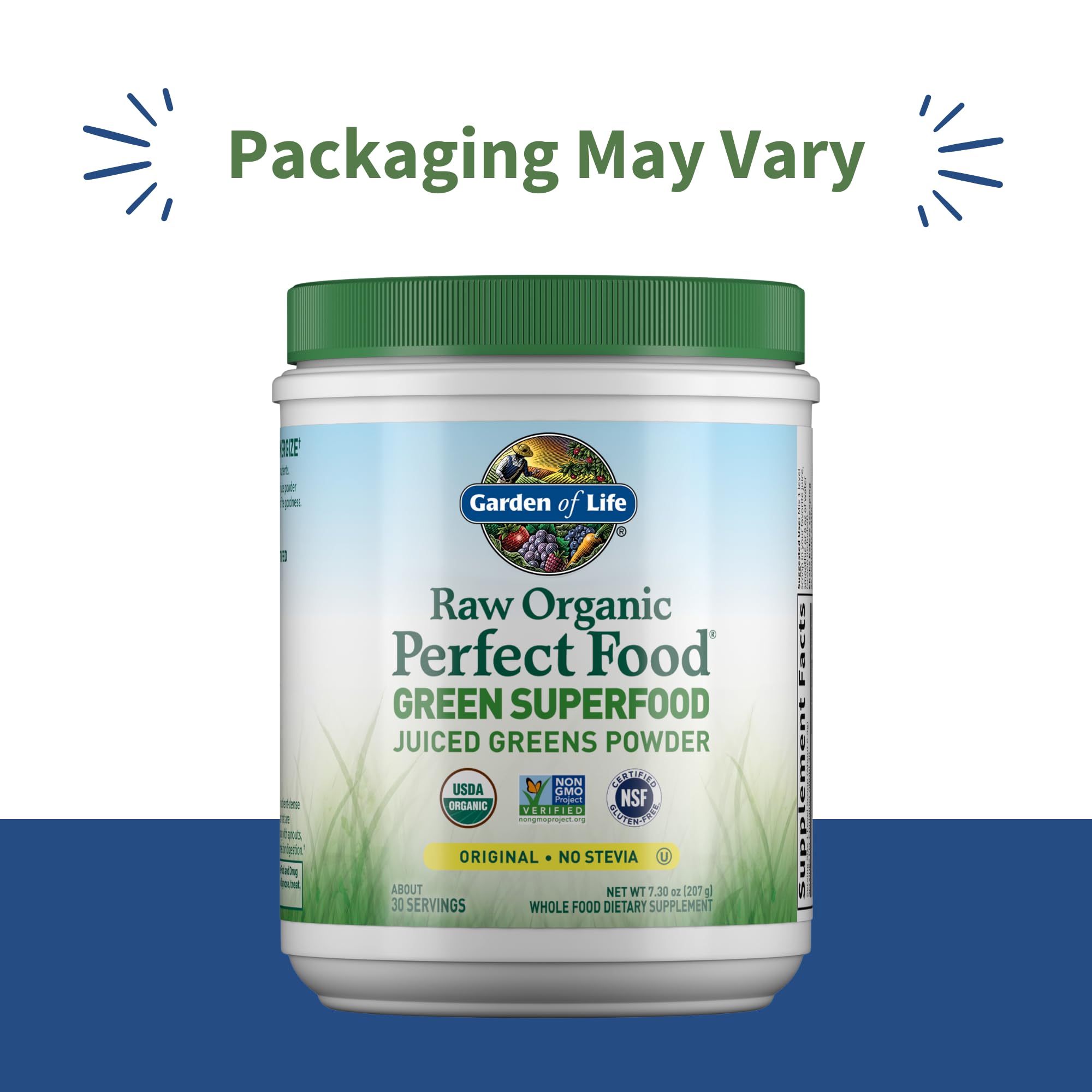 Garden of Life Raw Organic Perfect Food Green Superfood Juiced Greens Powder - Original Stevia-Free, 30 Servings, Non-GMO, Gluten Free Whole Food Dietary Supplement, Alkalize, Detoxify, Energize