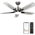 Flybull Ceiling Fan with LED Light and Remote, 42 Inch Modern Indoor Outdoor Ceiling Fan for Porch Patio, 3 Colors Dimmable, 6 Speed, Quiet Small Ceiling Fan for Bedroom Kitchen (Brushed Nickel)