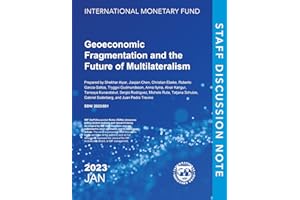Geo-Economic Fragmentation and the Future of Multilateralism (Staff Discussion Notes)