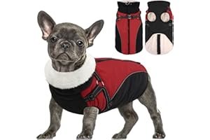 Queenmore Winter Dog Coat, Puffer Jacket with Harness Built-in for Small/Extra Small Dogs, Cold Weather Waterproof Snow Jacket - Fleece Lined, Reflective, Easy On, Adjustable, Zipper - Red/Black XS