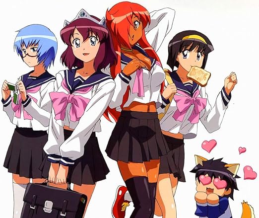 Amazon Com Zero No Tsukaima Princess No Rondo 30inch X 24inch Amazon Com Zero No Tsukaima Princess No Rondo 30inch X 24inch