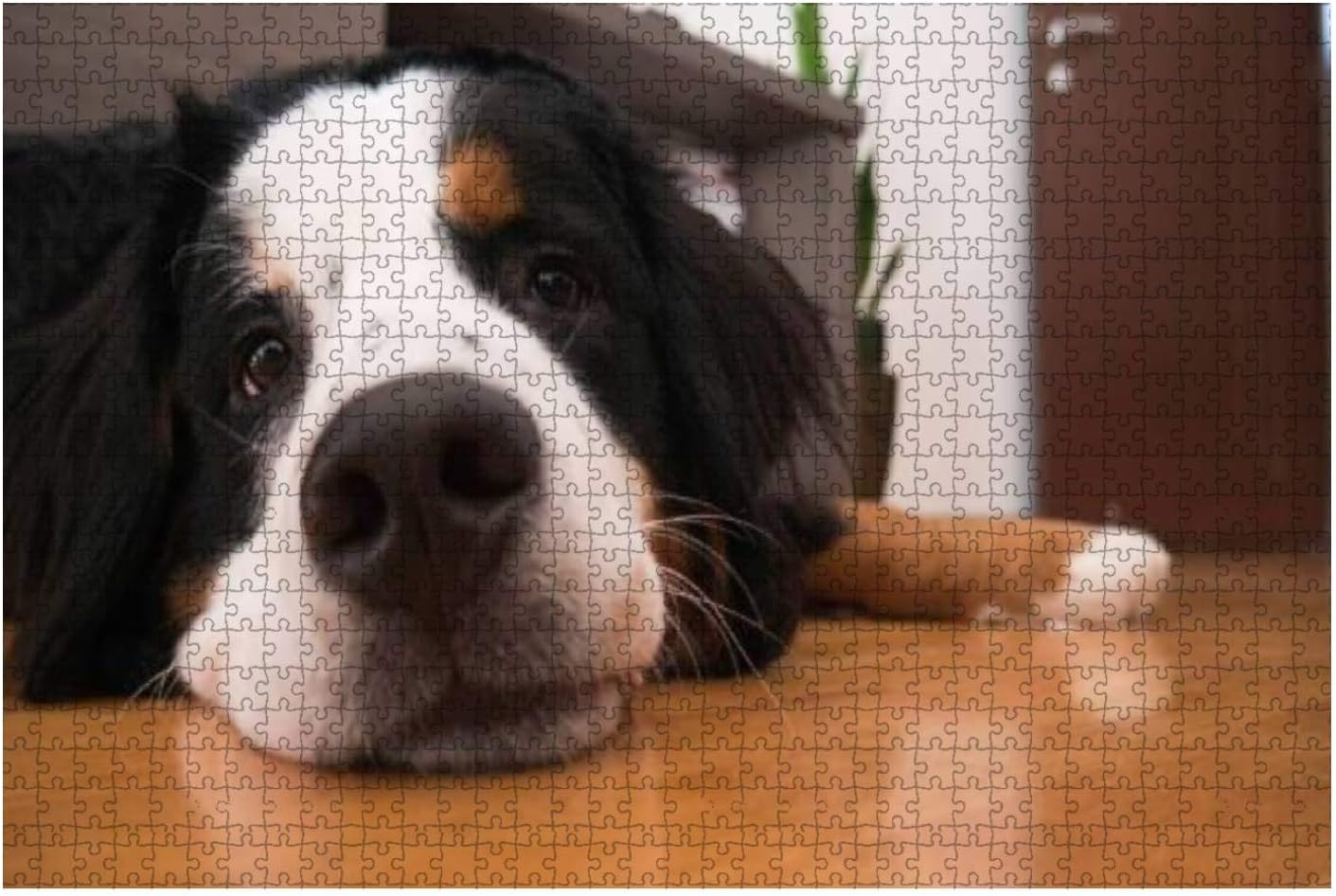 Wooden Puzzle 1000 Pieces Beloved Bernard Mountain Dog Lying on The Home Floor Jigsaw Puzzles for Children or Adults Educational Toys Decompression Game