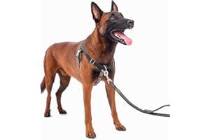 APDEXY No Pull Dog Harness Freedom Walking, Easy Walk with Front and Back Stainless D-Rings, Sewn-in Instructions Tags for Easy Use, for Medium/Large Dogs Weight 40-60 lbs (Black, Med/Large)