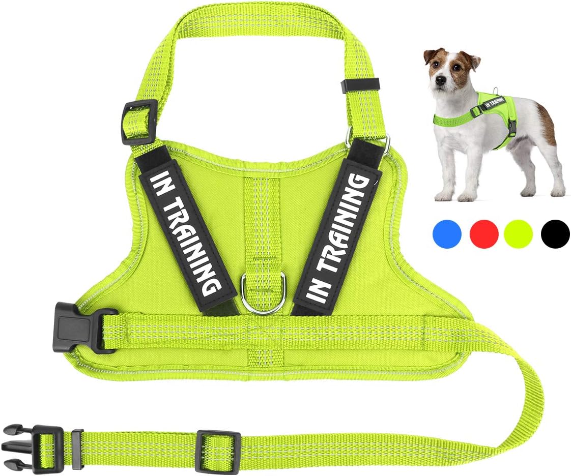 mesh dog vest