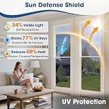 Lifetree Reflective One Way Window Film Privacy Blue 44.5x200cm view 3