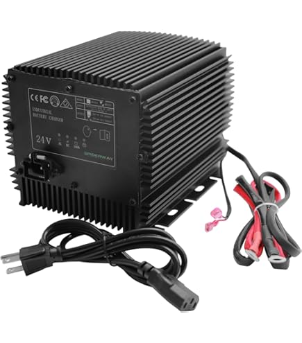 Amazon.com: AWP Controls Skyjack 128537 Battery Charger for