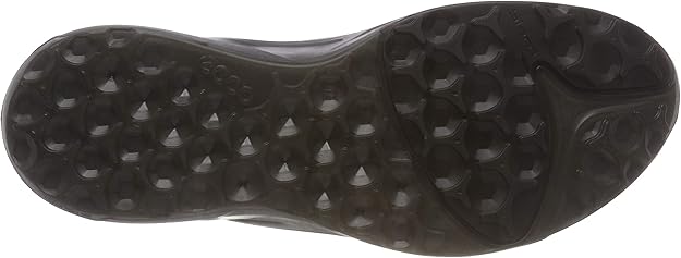 ecco mens biom omniquest gtx