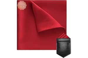 VICHERIA Handkerchiefs for Men, Pocket Squares for Men, 10 x 10 inch Silk Men's Handkerchief with Pocket Square Holder