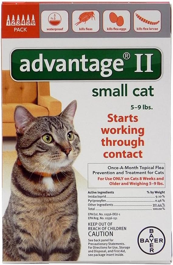 advantage small cat 6 pack