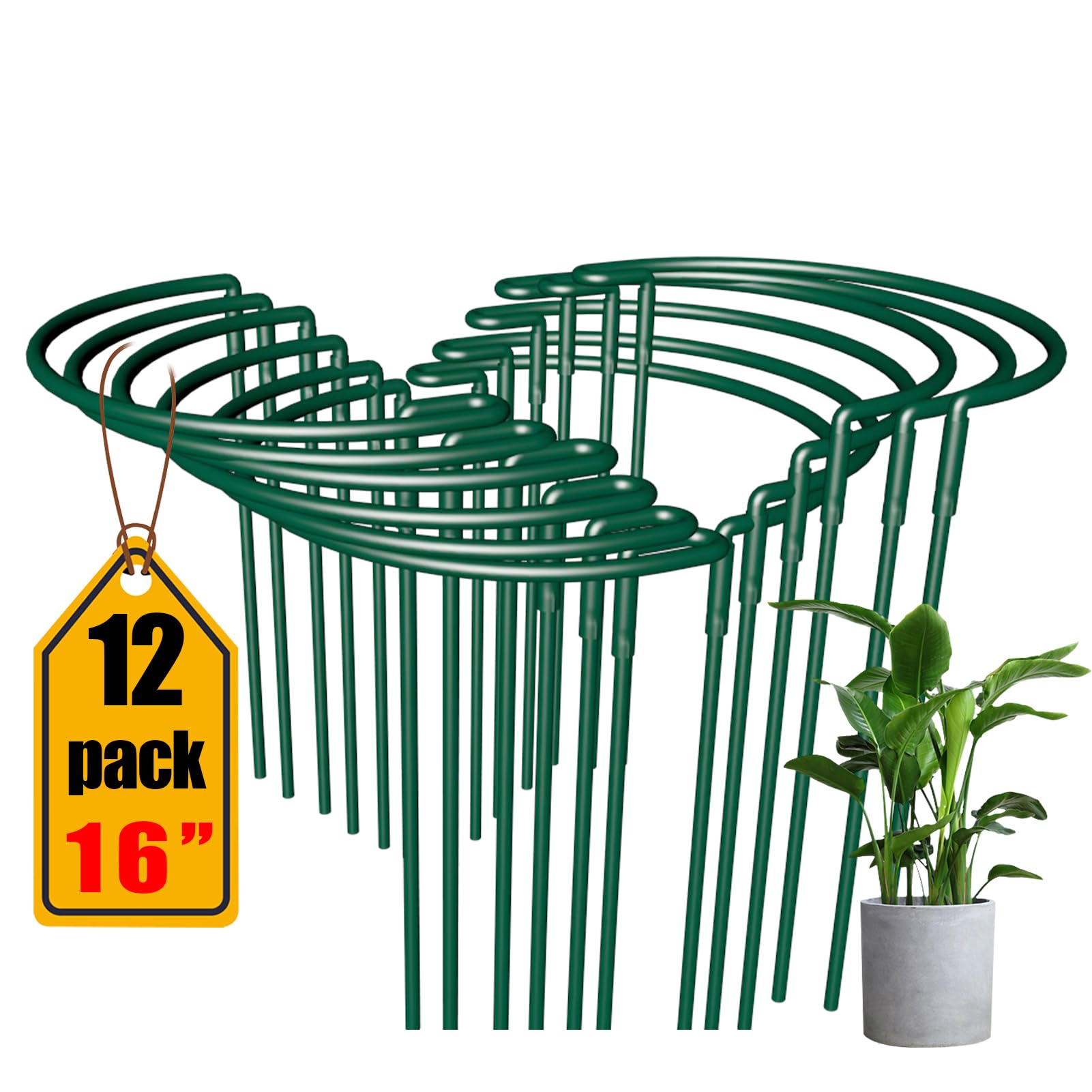 Photo 1 of AIRLAJYID Plant Support Stakes 12 Pack 10" W x 16" H, Half Round Garden Stake, Metal Ring Border, Green Peony Cages and Supports for Tomato Hydrangea Flower Outdoor