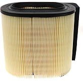 Motorcraft - Element Asy - Air Cleaner (FA1927)