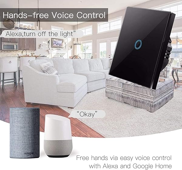 BCDL Panel de Vidrio Ajustable Interruptor tctil de la UE LED Light Light STARTE Light SHIRTOS NO Hay Neutral REQUERIDO 220V 1 GAND Smart Switch 1114 Color 2 Gang White