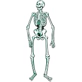 Jointed Skeleton Party Accessory (1 count) (1/Pkg)