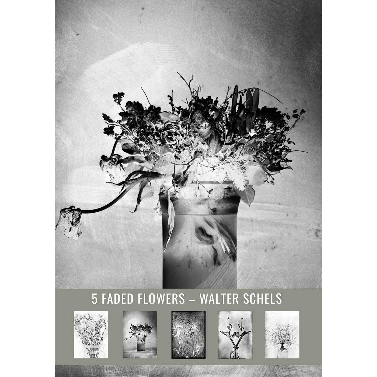 Set of 5 Postcards Walter Schels