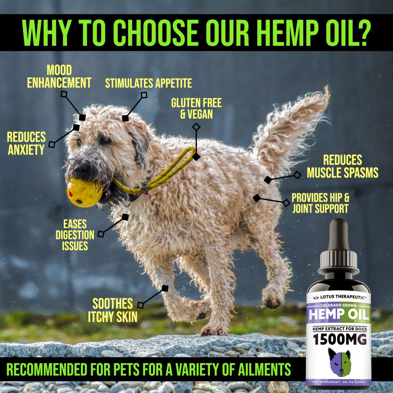 THERMASENSA Hemp Oil For Dogs for Pain Relief, 2 Fl. Oz, 1500mg, Dog