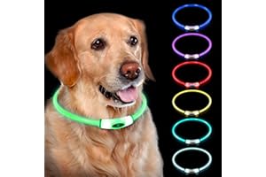 NOVKIN Lighted Dog Collar, Rechargeable 7 Colors Changing Light Up Dog Collar, IP67 Waterproof LED Dog Collar Glow in The Dark, Make Pet Visible and Safety for Night Walking,Outdoor, for All Dogs