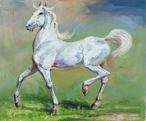 Amazon 絵画 壁掛け 白い馬の絵 動物の絵 キャンバス 印刷 45x40 Cm ウォールステッカー オンライン通販
