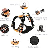 HEELE Reflective Dog Harness with Padded Handle L Orange 2 D Rings view 2