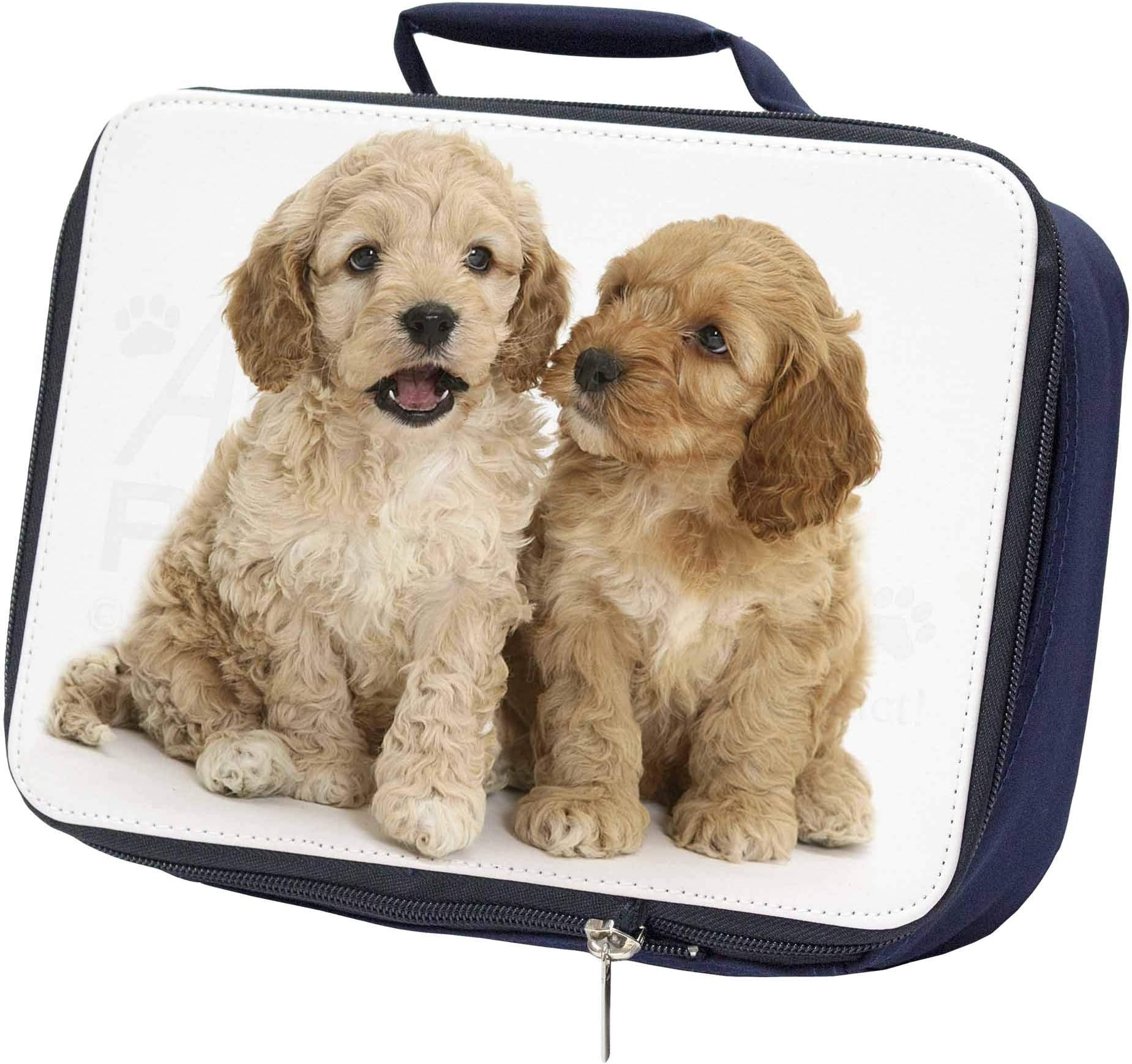 Advanta Group Cockerpoo Puppies Navy Insulated School Lunch Box Bag