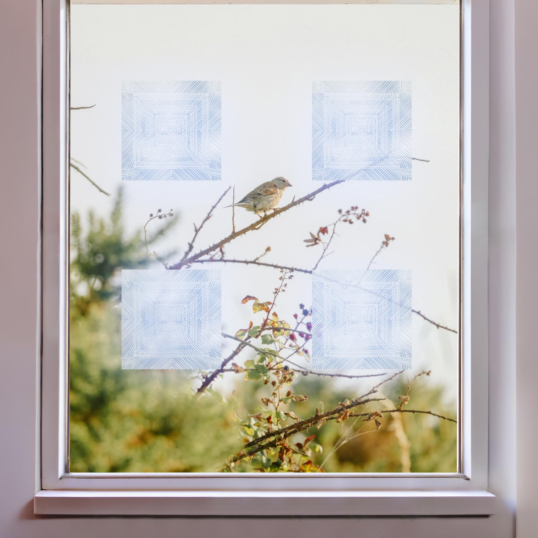 Bird's Eye View Clear/Etched Window Deflector 10 x 10 cm