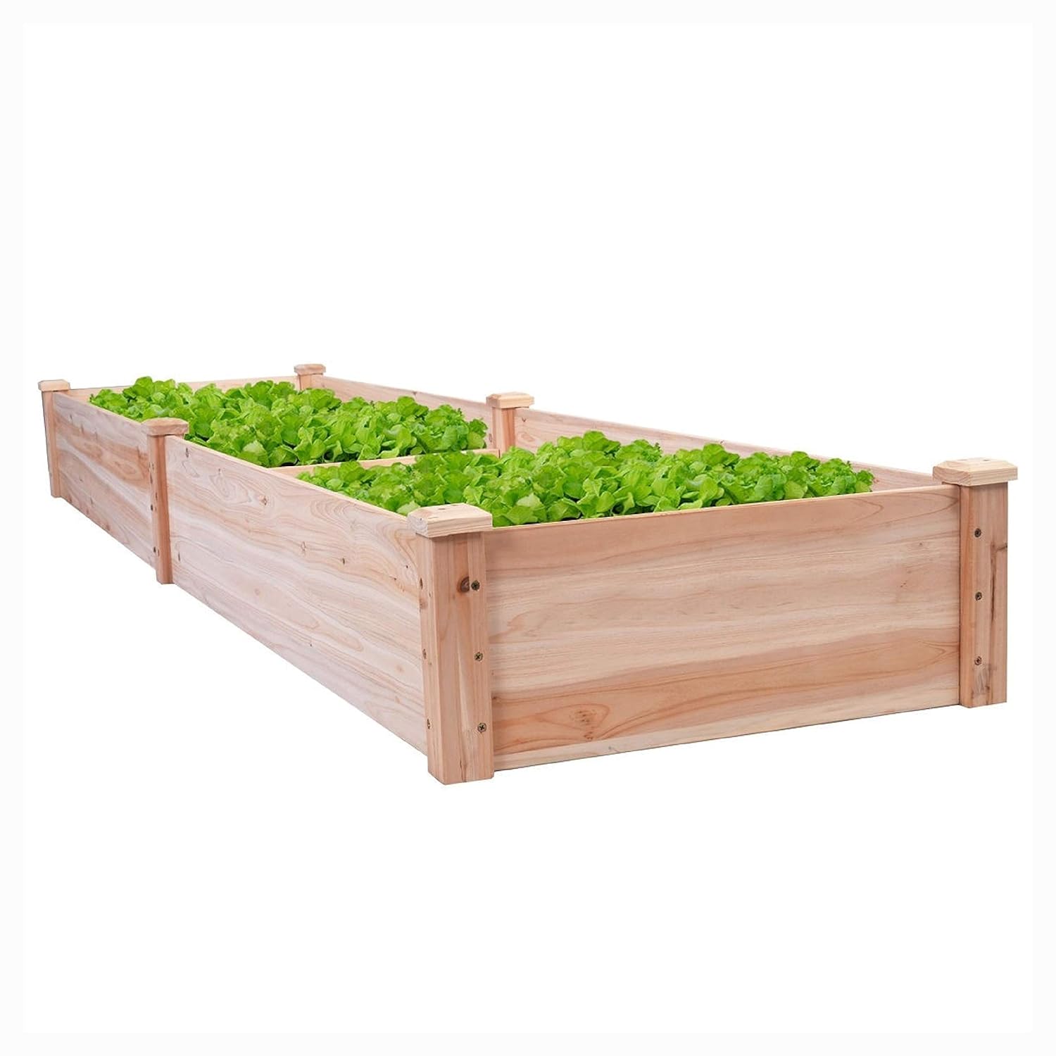 Best 2Ft By 8Ft Raised Garden Bed