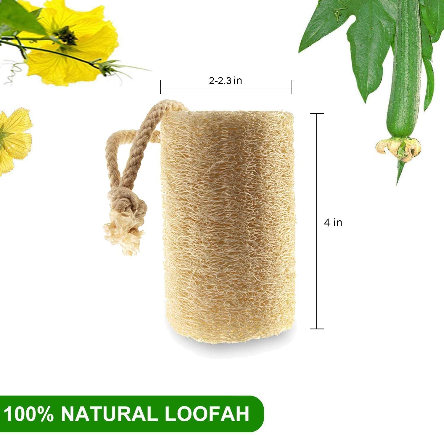 6 pack Natural Loofah Sponges Biodegradable Body Scrubbers - Image 5
