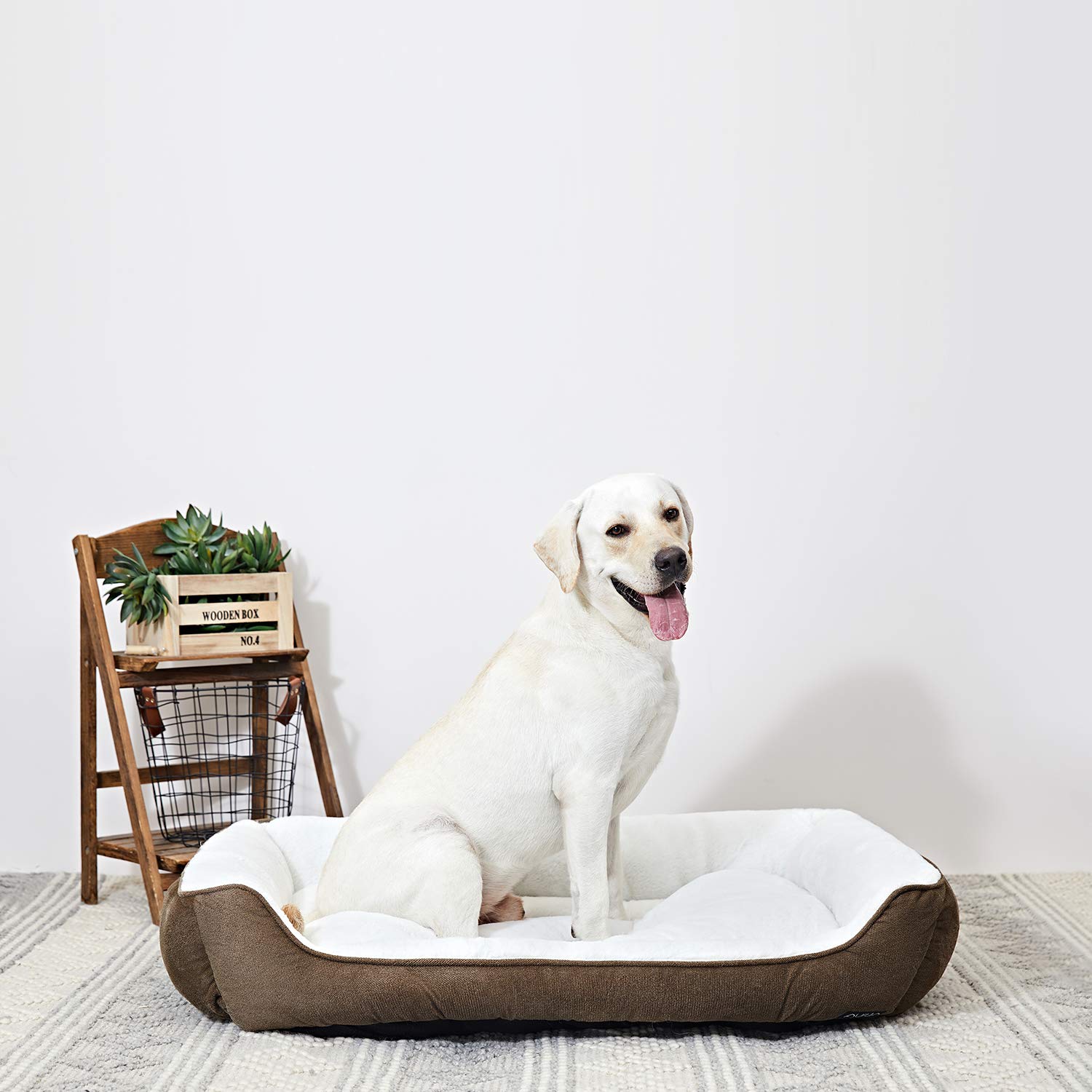 large durable dog bed