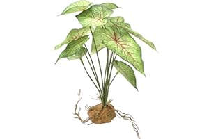 Woyrise Reptile Artificial Plants Terrarium Decor, Amphibian Habitat Hideout Bearded Dragon Tank Decorations fit Crested Gecko Leopard Lizard Chameleon Ball Python Snake Frog - Caladium