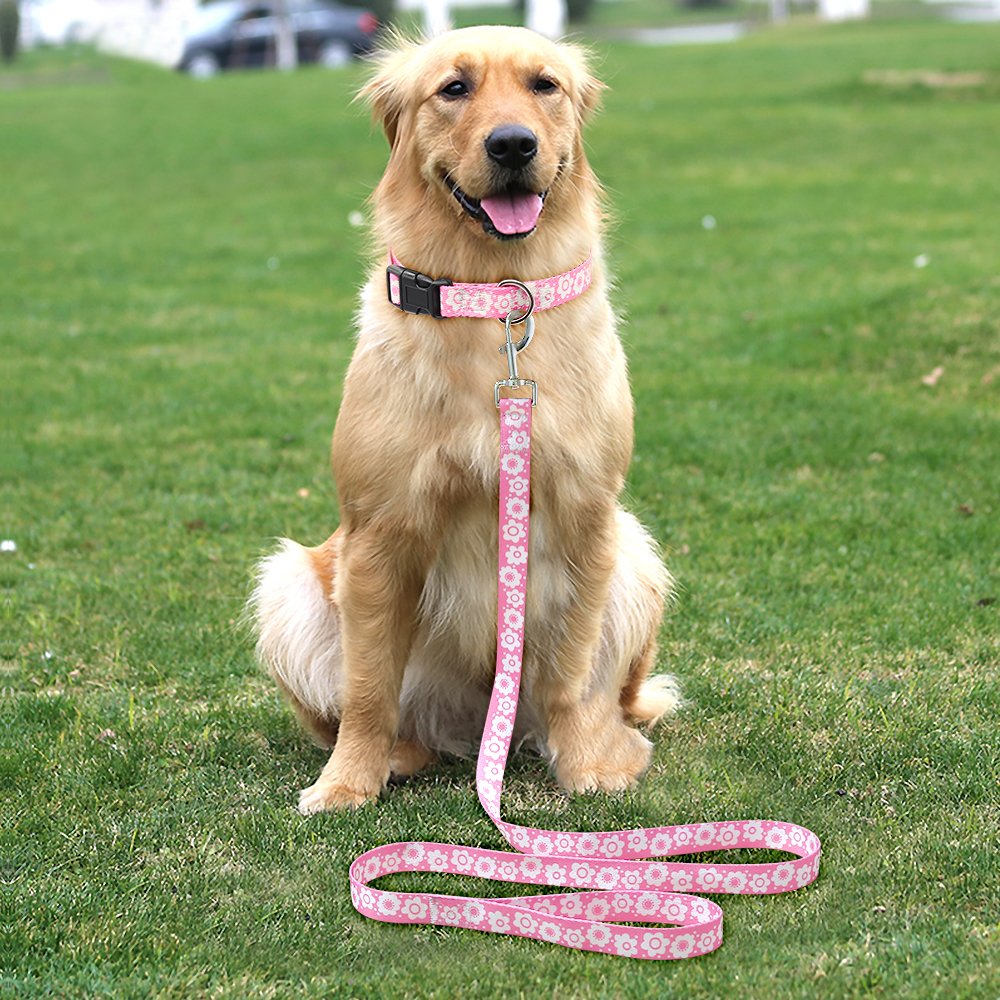 Higo Dog Leash - 6ft Long - 3mm Thick, Handle For Comfort - Heavy Duty Perfect Leashes for Dogs