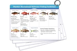 OCQOTAT Florida Saltwater Fish& Shark Identification Set–4 Double-Sided Waterproof Quick-Reference Fishing Guide Cards with FWC Rules,Size Limits&80+ Fish&Sharks in Real Photos| Ring Binding,8.2x6inch