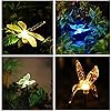 The Best Solar Garden Lights For Outdoor Path, Yard & Lawn 9 OxyLED Solar Garden Lights