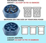 CAISHOW Slow Feeder Dog Bowl Small Medium Dogs Non-Slip Safe Material view 4