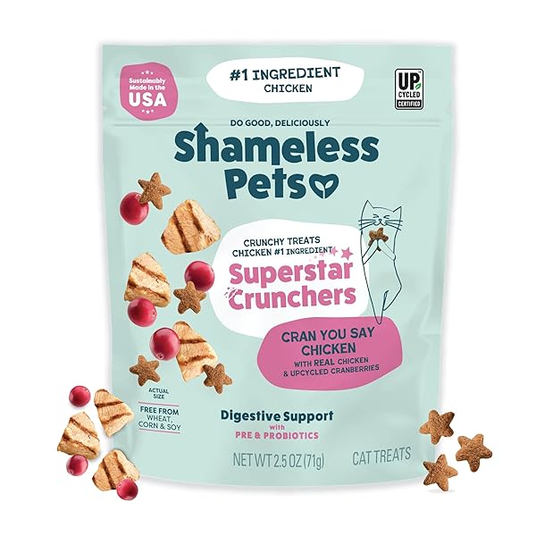 SHAMELESS PETS CRUNCHY CAT TREATS – KITTY TREATS...