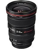 Amazon.com : Canon EF 17-40mm f/4L USM Ultra Wide Angle Zoom Lens
