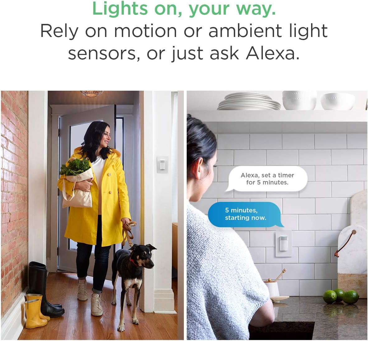 ecobee alexa switch