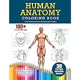 Human Anatomy Coloring Book: 100+ Illustrations In The Anatomy & Physiology Workbook For Adults, Nurses, High School & Medica