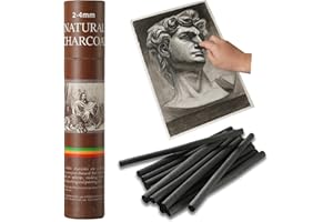 Trzzyan 25-piece Willow Charcoal Sticks, Ideal for Artists, Beginners, Students, Perfect for Sketching, Drawing, Shading, and