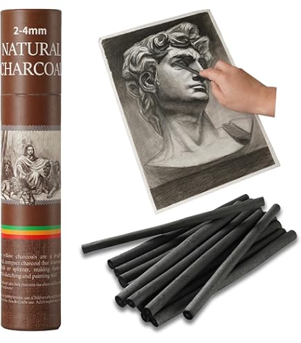 Amazon.com: PH Coate Artist Willow Charcoal Thick, 12 Sticks, Black