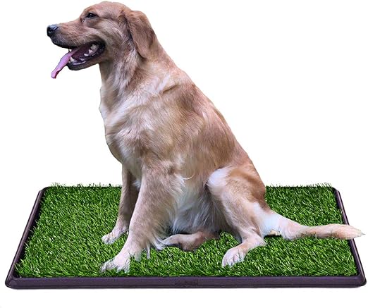 what happens if a dog urinates on artificial grass