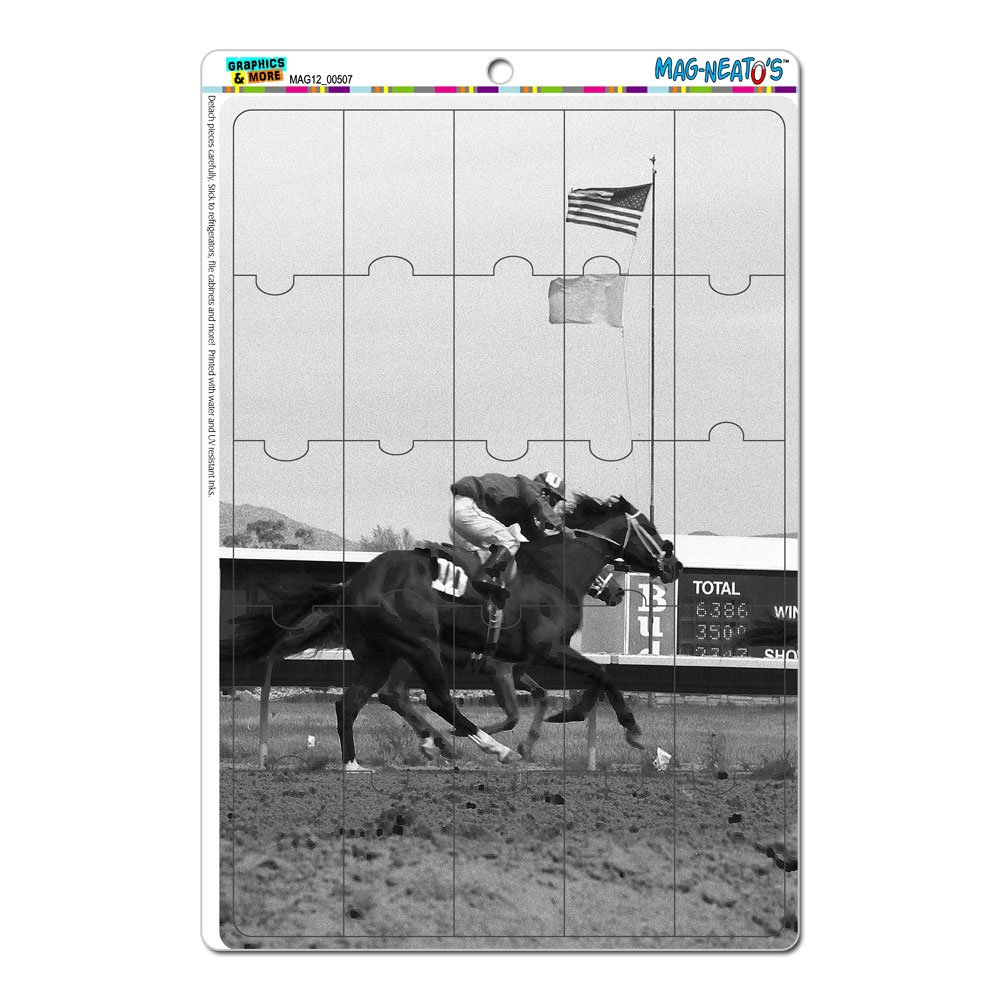 En la pista - Carreras de Caballos (TM) del vintage mag-neato ...